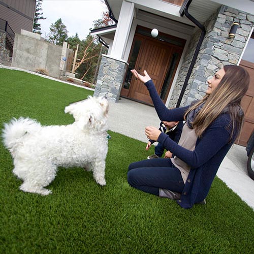 image of Pet friendly artificial grass for your furry friends available at SYNLawn Billings